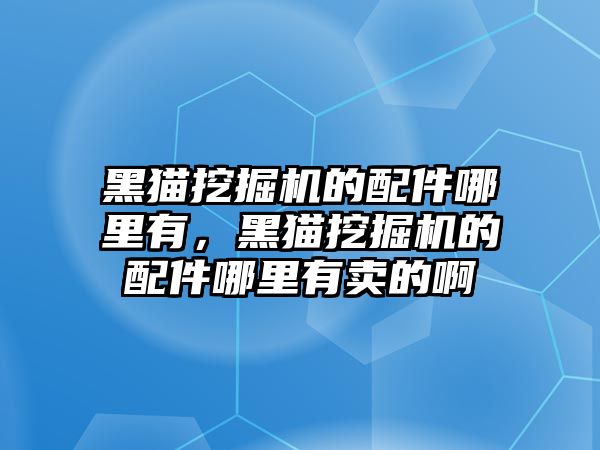 黑貓挖掘機的配件哪里有，黑貓挖掘機的配件哪里有賣的啊