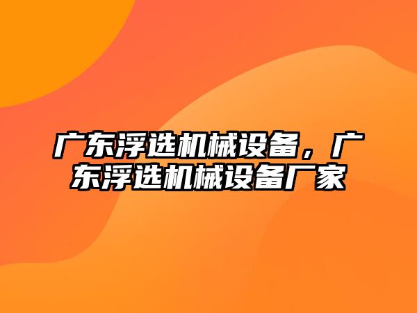 廣東浮選機械設備，廣東浮選機械設備廠家