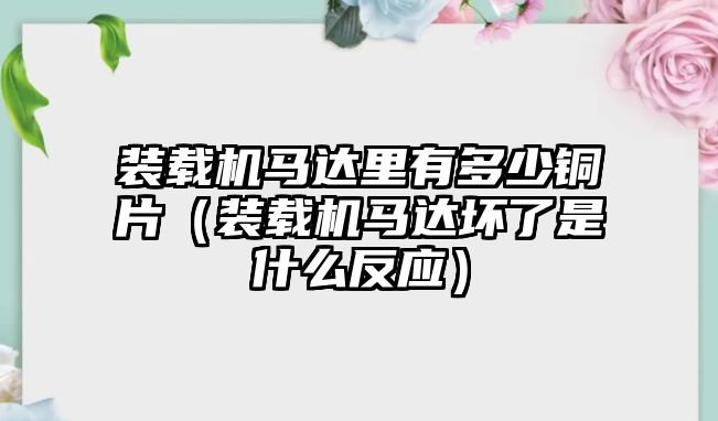 裝載機馬達里有多少銅片（裝載機馬達壞了是什么反應）