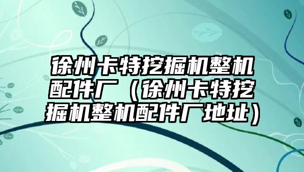 徐州卡特挖掘機整機配件廠（徐州卡特挖掘機整機配件廠地址）