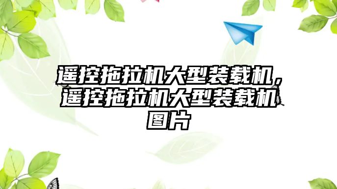 遙控拖拉機大型裝載機，遙控拖拉機大型裝載機圖片