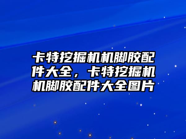 卡特挖掘機機腳膠配件大全，卡特挖掘機機腳膠配件大全圖片