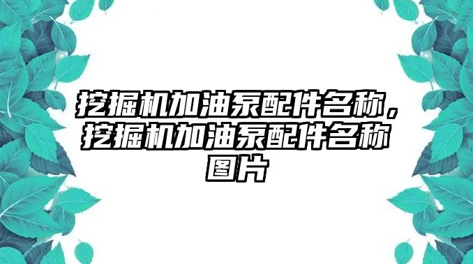 挖掘機加油泵配件名稱，挖掘機加油泵配件名稱圖片