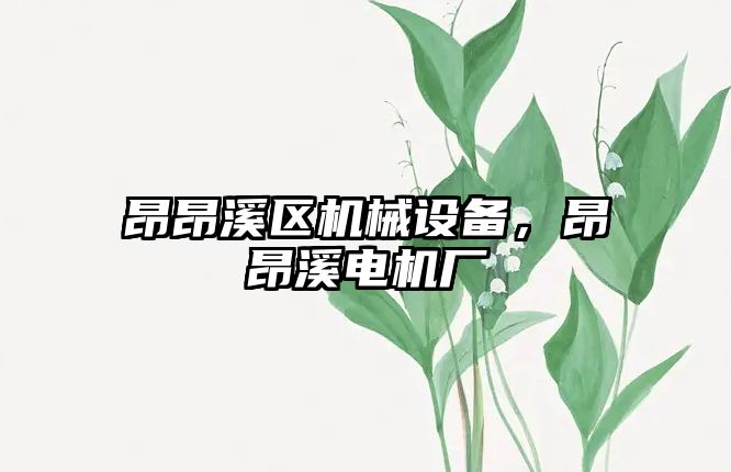 昂昂溪區機械設備，昂昂溪電機廠