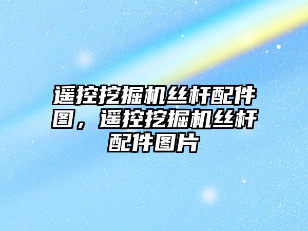 遙控挖掘機絲桿配件圖，遙控挖掘機絲桿配件圖片