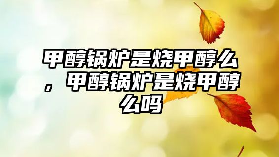 甲醇鍋爐是燒甲醇么，甲醇鍋爐是燒甲醇么嗎