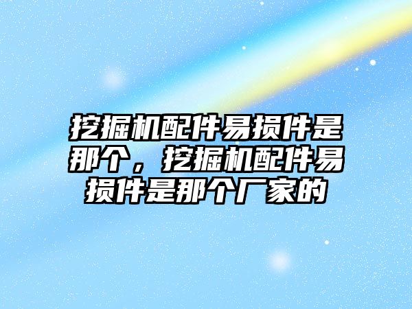 挖掘機配件易損件是那個，挖掘機配件易損件是那個廠家的