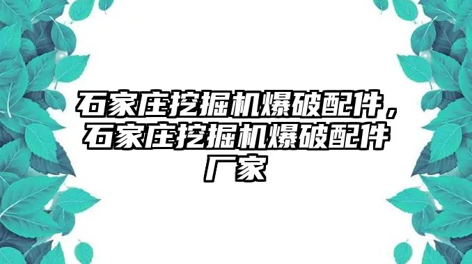 石家莊挖掘機(jī)爆破配件，石家莊挖掘機(jī)爆破配件廠家