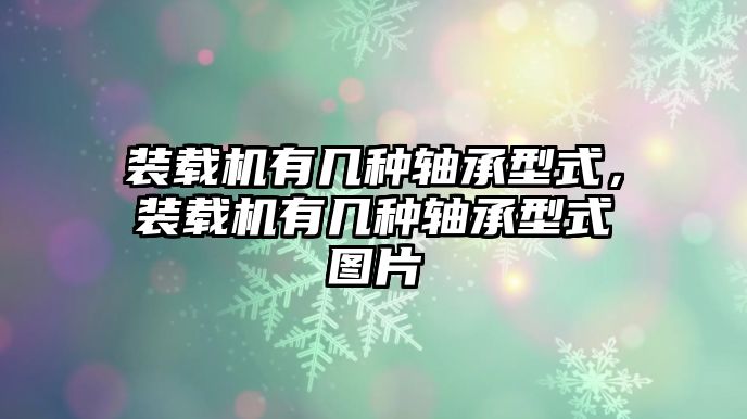 裝載機有幾種軸承型式，裝載機有幾種軸承型式圖片