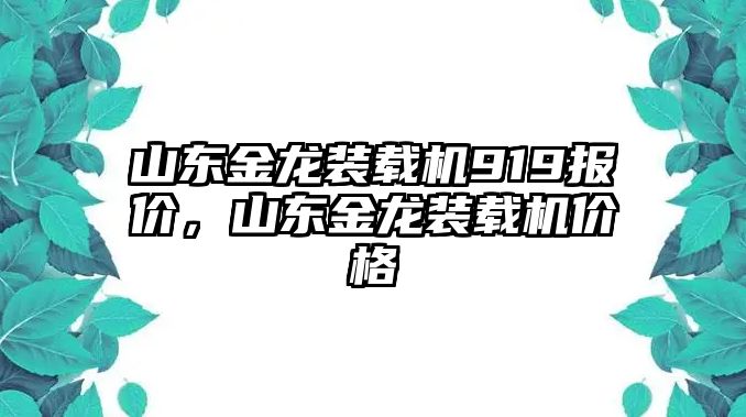 山東金龍裝載機919報價，山東金龍裝載機價格