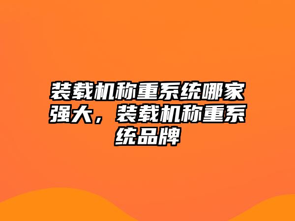 裝載機稱重系統哪家強大，裝載機稱重系統品牌