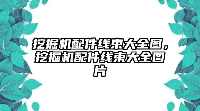 挖掘機配件線束大全圖，挖掘機配件線束大全圖片