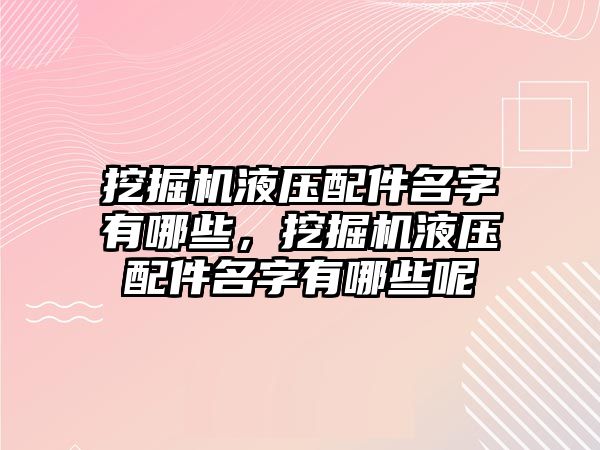 挖掘機液壓配件名字有哪些，挖掘機液壓配件名字有哪些呢