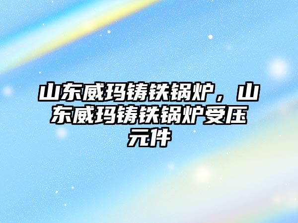 山東威瑪鑄鐵鍋爐，山東威瑪鑄鐵鍋爐受壓元件