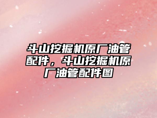 斗山挖掘機原廠油管配件，斗山挖掘機原廠油管配件圖