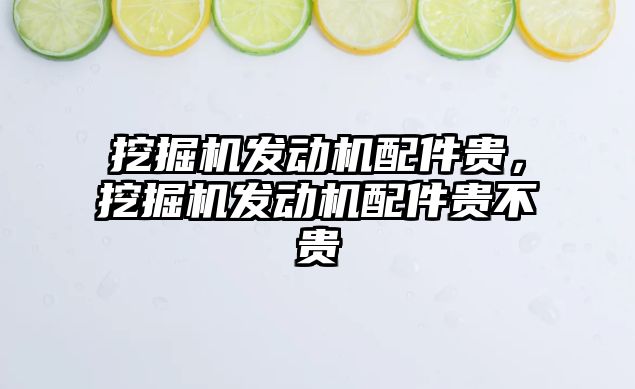 挖掘機發(fā)動機配件貴，挖掘機發(fā)動機配件貴不貴