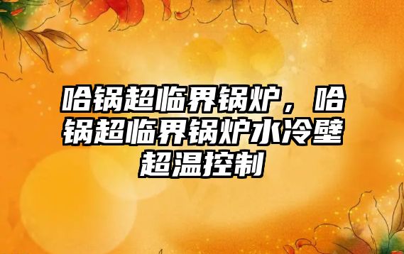 哈鍋超臨界鍋爐，哈鍋超臨界鍋爐水冷壁超溫控制