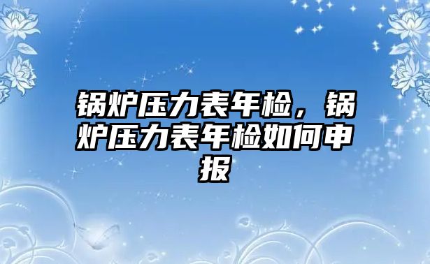 鍋爐壓力表年檢，鍋爐壓力表年檢如何申報(bào)