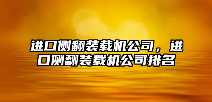 進口側翻裝載機公司，進口側翻裝載機公司排名