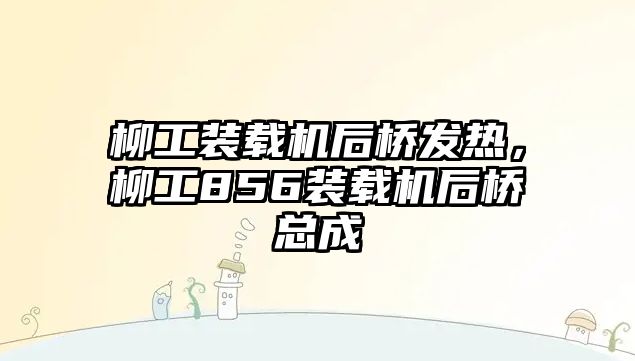 柳工裝載機后橋發熱，柳工856裝載機后橋總成