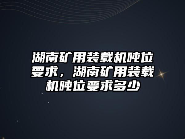 湖南礦用裝載機噸位要求，湖南礦用裝載機噸位要求多少