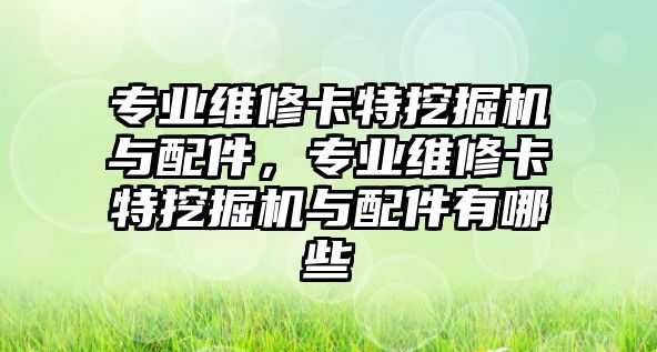 專業維修卡特挖掘機與配件，專業維修卡特挖掘機與配件有哪些