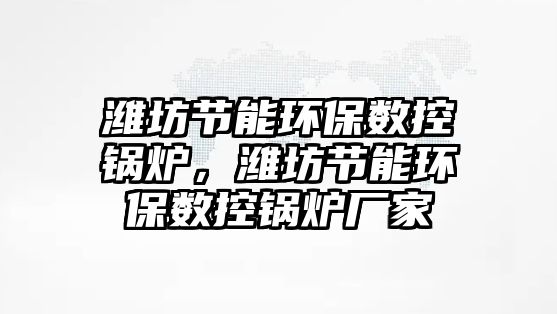 濰坊節能環保數控鍋爐，濰坊節能環保數控鍋爐廠家