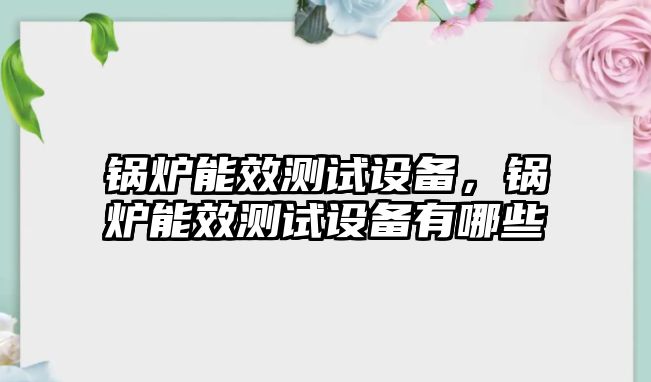 鍋爐能效測試設備，鍋爐能效測試設備有哪些