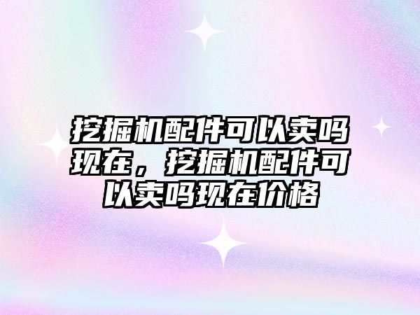 挖掘機配件可以賣嗎現在，挖掘機配件可以賣嗎現在價格