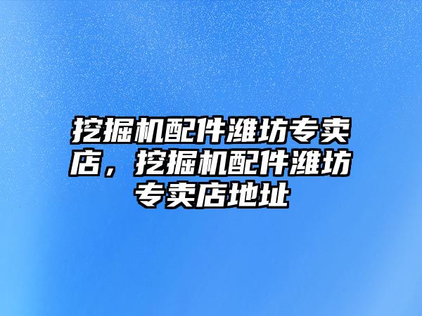 挖掘機配件濰坊專賣店，挖掘機配件濰坊專賣店地址