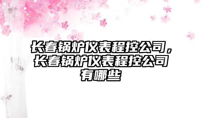 長春鍋爐儀表程控公司，長春鍋爐儀表程控公司有哪些