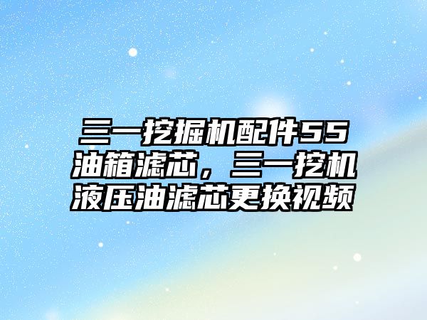 三一挖掘機(jī)配件55油箱濾芯，三一挖機(jī)液壓油濾芯更換視頻