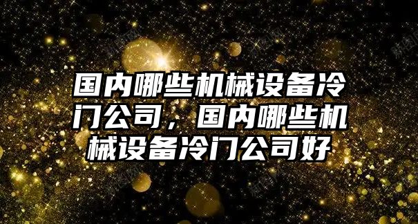 國內哪些機械設備冷門公司，國內哪些機械設備冷門公司好