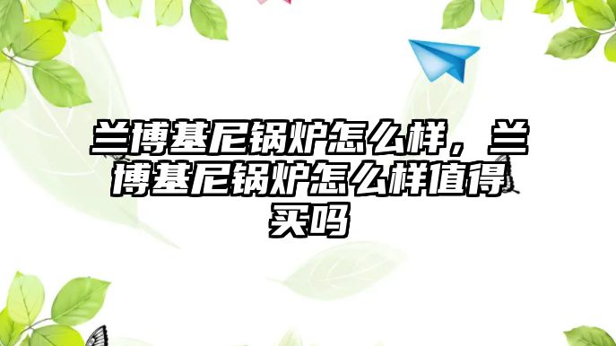 蘭博基尼鍋爐怎么樣，蘭博基尼鍋爐怎么樣值得買嗎