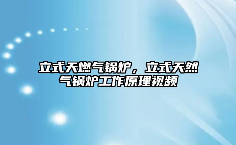 立式天燃?xì)忮仩t，立式天然氣鍋爐工作原理視頻