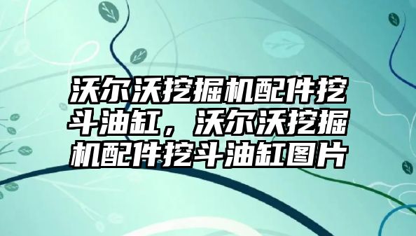 沃爾沃挖掘機配件挖斗油缸，沃爾沃挖掘機配件挖斗油缸圖片