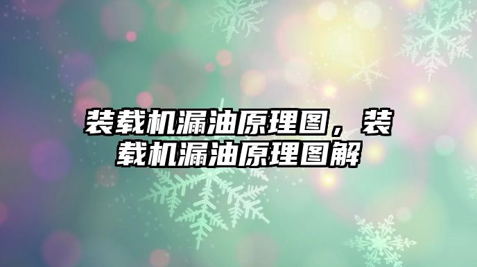 裝載機漏油原理圖，裝載機漏油原理圖解