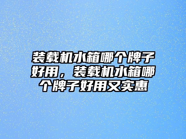 裝載機(jī)水箱哪個(gè)牌子好用，裝載機(jī)水箱哪個(gè)牌子好用又實(shí)惠