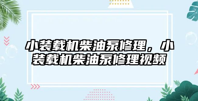 小裝載機柴油泵修理，小裝載機柴油泵修理視頻