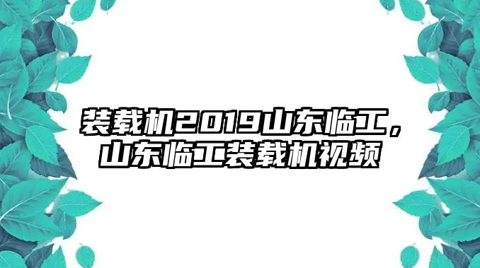 裝載機2019山東臨工，山東臨工裝載機視頻