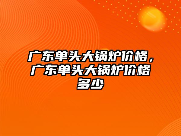 廣東單頭大鍋爐價格，廣東單頭大鍋爐價格多少