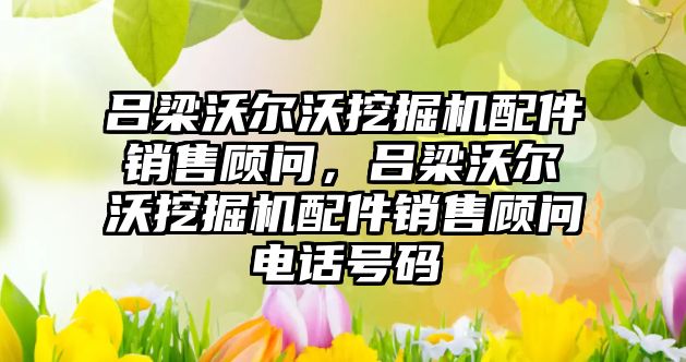 呂梁沃爾沃挖掘機配件銷售顧問，呂梁沃爾沃挖掘機配件銷售顧問電話號碼