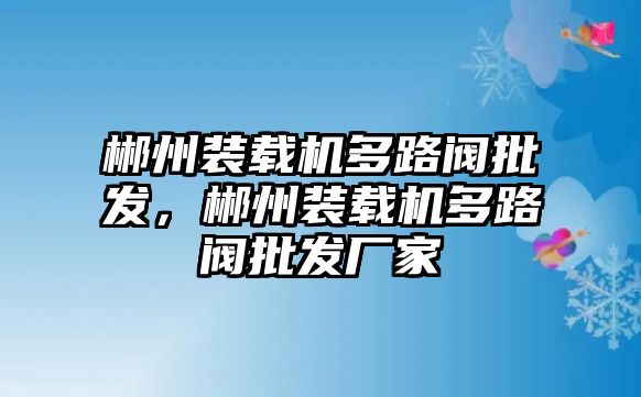 郴州裝載機多路閥批發，郴州裝載機多路閥批發廠家