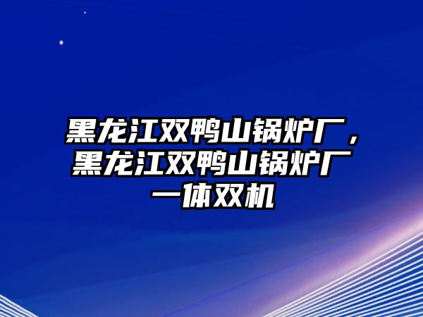 黑龍江雙鴨山鍋爐廠，黑龍江雙鴨山鍋爐廠一體雙機