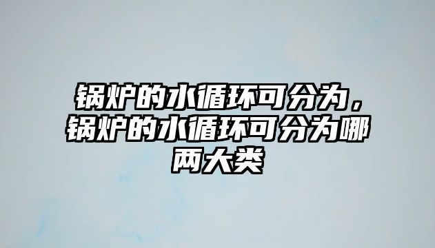 鍋爐的水循環可分為，鍋爐的水循環可分為哪兩大類