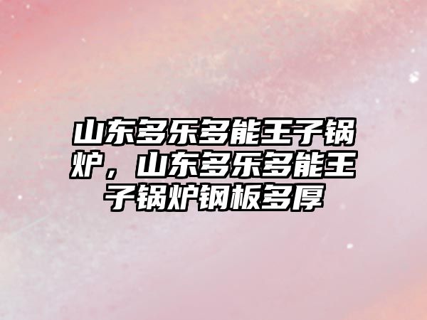 山東多樂多能王子鍋爐，山東多樂多能王子鍋爐鋼板多厚