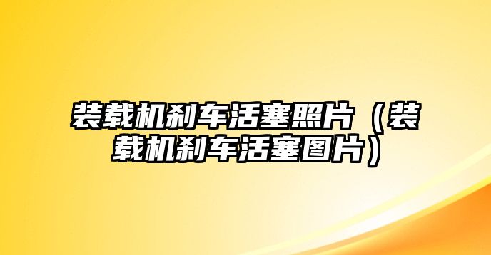 裝載機剎車活塞照片（裝載機剎車活塞圖片）