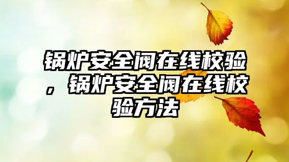 鍋爐安全閥在線校驗，鍋爐安全閥在線校驗方法