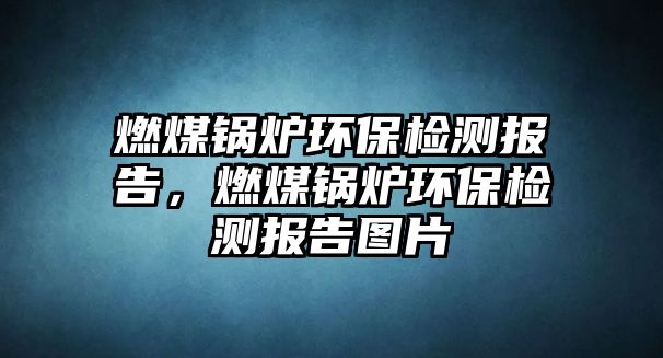 燃煤鍋爐環保檢測報告，燃煤鍋爐環保檢測報告圖片