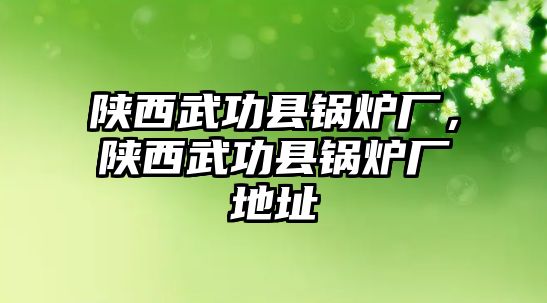 陜西武功縣鍋爐廠，陜西武功縣鍋爐廠地址